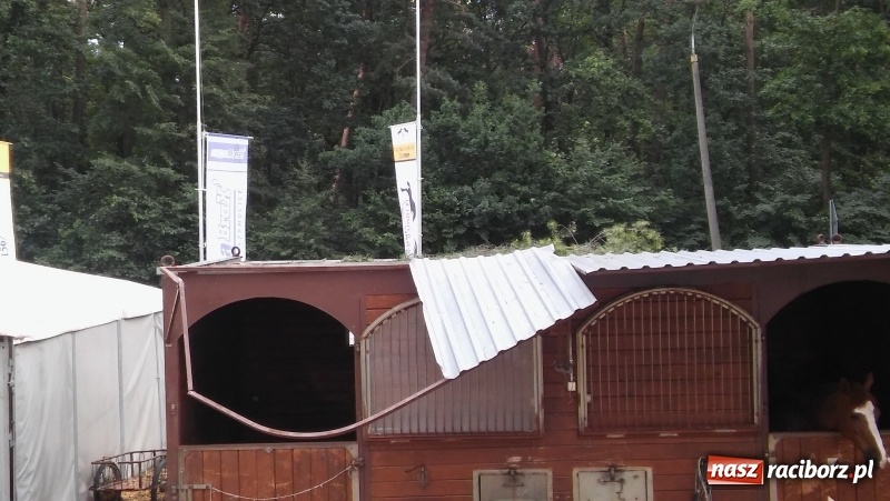 Zdjęcie w galerii na portalu naszraciborz.pl: Zniszczenia w Aquabraxie były ogromne. Ośrodek działa już normalnie FOTORELACJA wiadomości z regionu