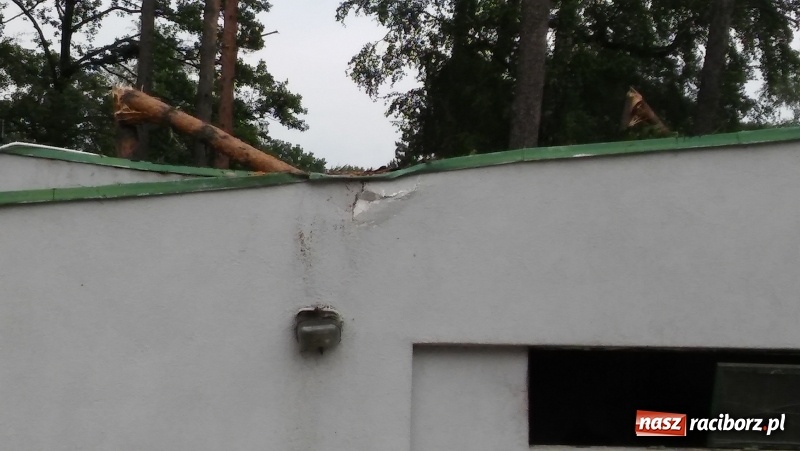 Zdjęcie w galerii na portalu naszraciborz.pl: Zniszczenia w Aquabraxie były ogromne. Ośrodek działa już normalnie FOTORELACJA wiadomości z regionu