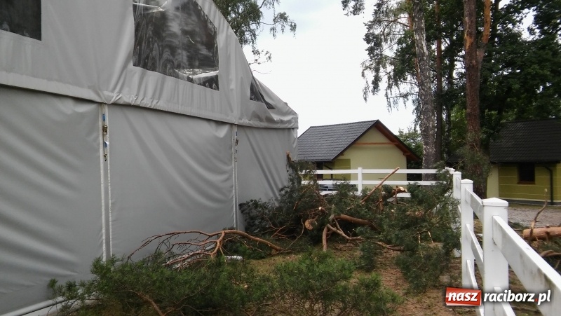 Zdjęcie w galerii na portalu naszraciborz.pl: Zniszczenia w Aquabraxie były ogromne. Ośrodek działa już normalnie FOTORELACJA wiadomości z regionu