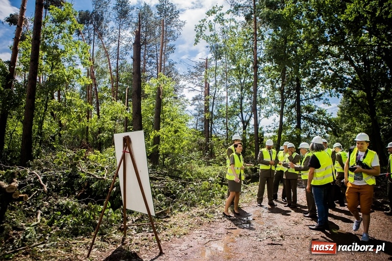 Zdjęcie w galerii na portalu naszraciborz.pl: Sprzątanie lasów wokół Kuźni potrwa 2 lata. Straty mogą przekroczyć 85 mln zł. Szef polskich leśników gościł dziś w naszym powiecie wiadomości z regionu