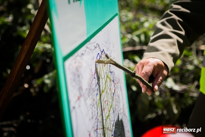 Zdjęcie w galerii na portalu naszraciborz.pl: Sprzątanie lasów wokół Kuźni potrwa 2 lata. Straty mogą przekroczyć 85 mln zł. Szef polskich leśników gościł dziś w naszym powiecie wiadomości z regionu