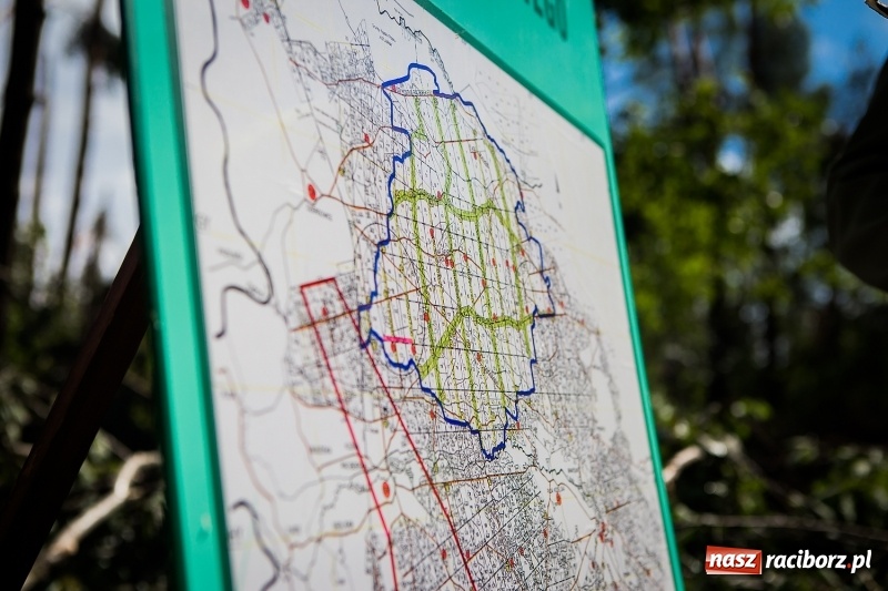 Zdjęcie w galerii na portalu naszraciborz.pl: Sprzątanie lasów wokół Kuźni potrwa 2 lata. Straty mogą przekroczyć 85 mln zł. Szef polskich leśników gościł dziś w naszym powiecie wiadomości z regionu