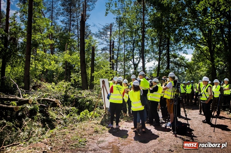 Zdjęcie w galerii na portalu naszraciborz.pl: Sprzątanie lasów wokół Kuźni potrwa 2 lata. Straty mogą przekroczyć 85 mln zł. Szef polskich leśników gościł dziś w naszym powiecie wiadomości z regionu