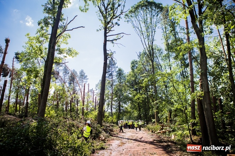 Zdjęcie w galerii na portalu naszraciborz.pl: Sprzątanie lasów wokół Kuźni potrwa 2 lata. Straty mogą przekroczyć 85 mln zł. Szef polskich leśników gościł dziś w naszym powiecie wiadomości z regionu