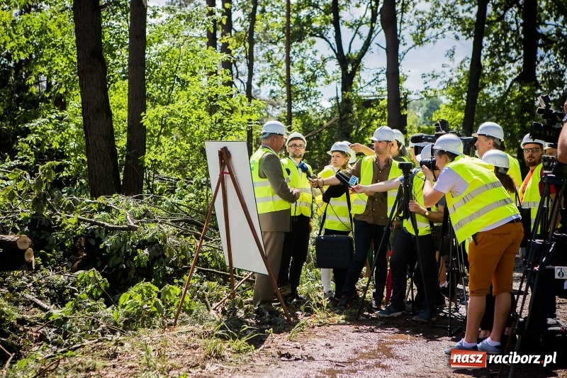 Zdjęcie w galerii na portalu naszraciborz.pl: Sprzątanie lasów wokół Kuźni potrwa 2 lata. Straty mogą przekroczyć 85 mln zł. Szef polskich leśników gościł dziś w naszym powiecie wiadomości z regionu