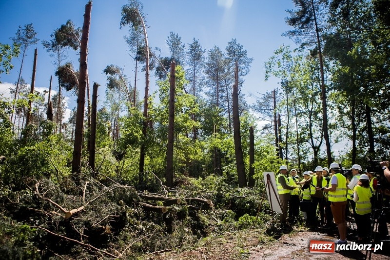 Zdjęcie w galerii na portalu naszraciborz.pl: Sprzątanie lasów wokół Kuźni potrwa 2 lata. Straty mogą przekroczyć 85 mln zł. Szef polskich leśników gościł dziś w naszym powiecie wiadomości z regionu