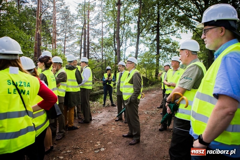 Zdjęcie w galerii na portalu naszraciborz.pl: Sprzątanie lasów wokół Kuźni potrwa 2 lata. Straty mogą przekroczyć 85 mln zł. Szef polskich leśników gościł dziś w naszym powiecie wiadomości z regionu
