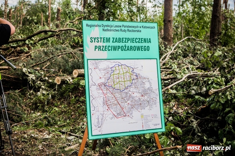 Zdjęcie w galerii na portalu naszraciborz.pl: Sprzątanie lasów wokół Kuźni potrwa 2 lata. Straty mogą przekroczyć 85 mln zł. Szef polskich leśników gościł dziś w naszym powiecie wiadomości z regionu