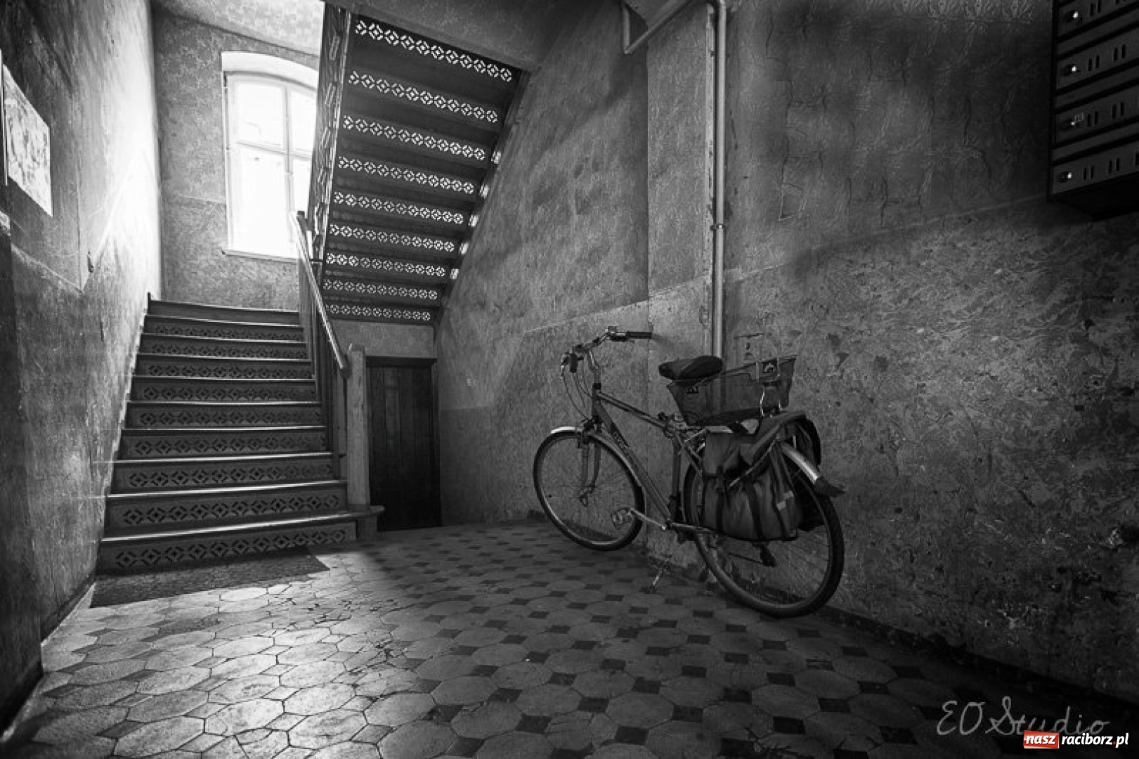 Zdjęcie w galerii na portalu naszraciborz.pl: Racibórz okiem przybysza FOTOGRAFIE  wiadomości z regionu