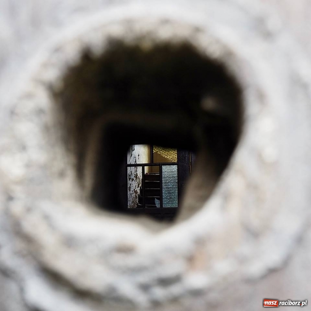 Zdjęcie w galerii na portalu naszraciborz.pl: Racibórz okiem przybysza FOTOGRAFIE  wiadomości z regionu