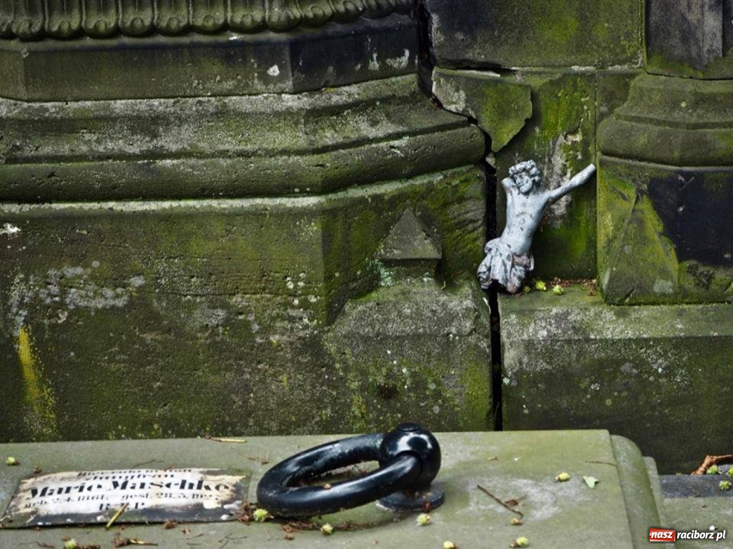 Zdjęcie w galerii na portalu naszraciborz.pl: Racibórz okiem przybysza FOTOGRAFIE  wiadomości z regionu