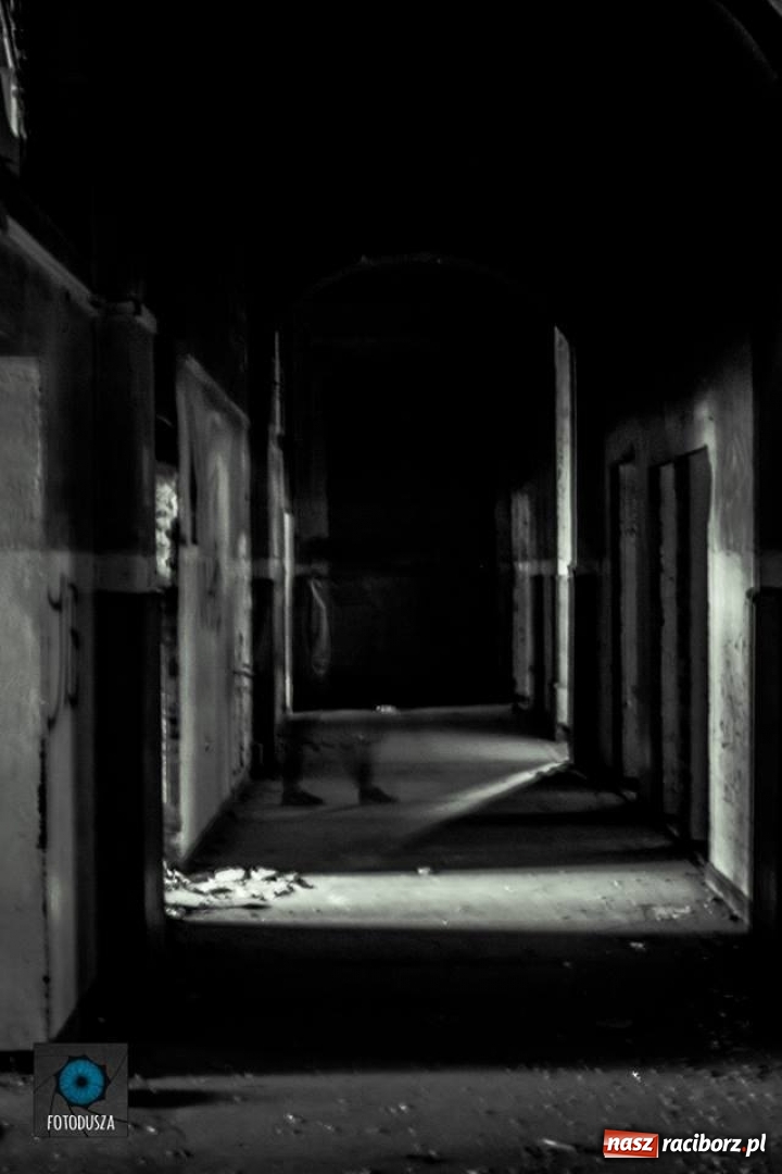 Zdjęcie w galerii na portalu naszraciborz.pl: Racibórz okiem przybysza FOTOGRAFIE  wiadomości z regionu