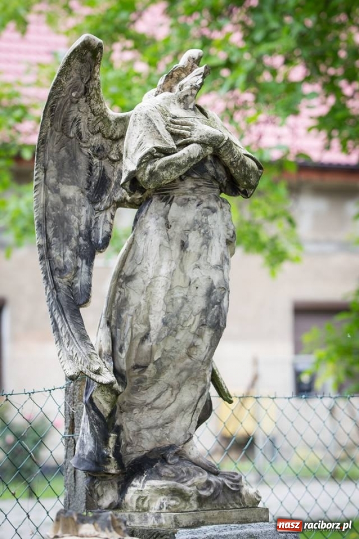 Zdjęcie w galerii na portalu naszraciborz.pl: Racibórz okiem przybysza FOTOGRAFIE  wiadomości z regionu
