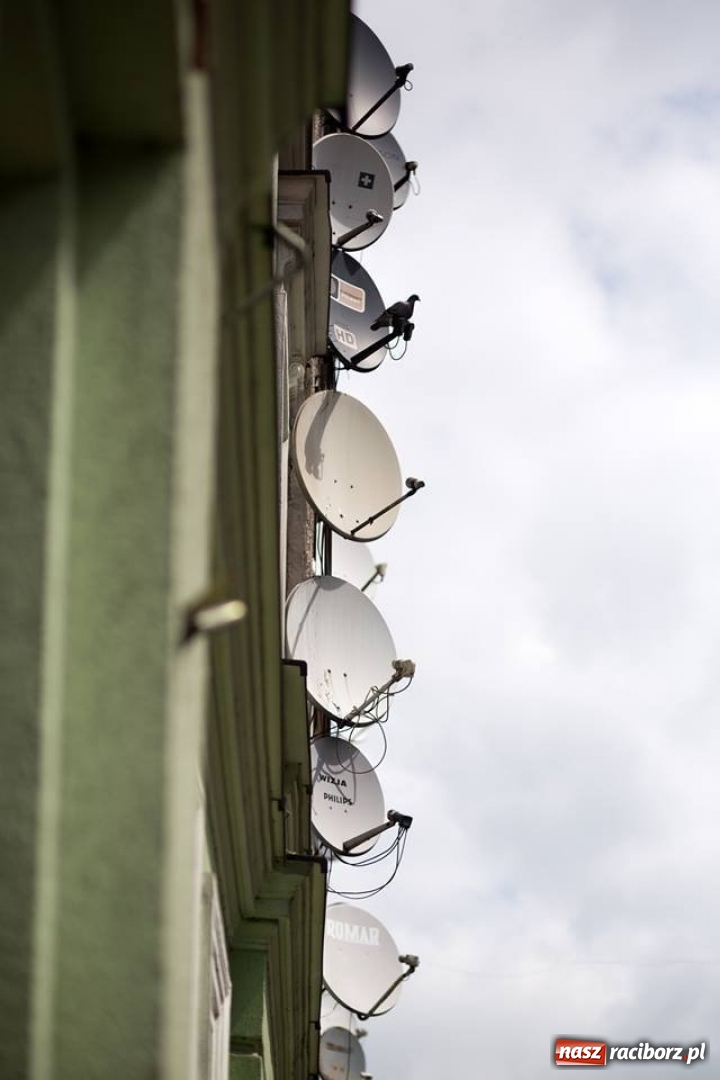 Zdjęcie w galerii na portalu naszraciborz.pl: Racibórz okiem przybysza FOTOGRAFIE  wiadomości z regionu