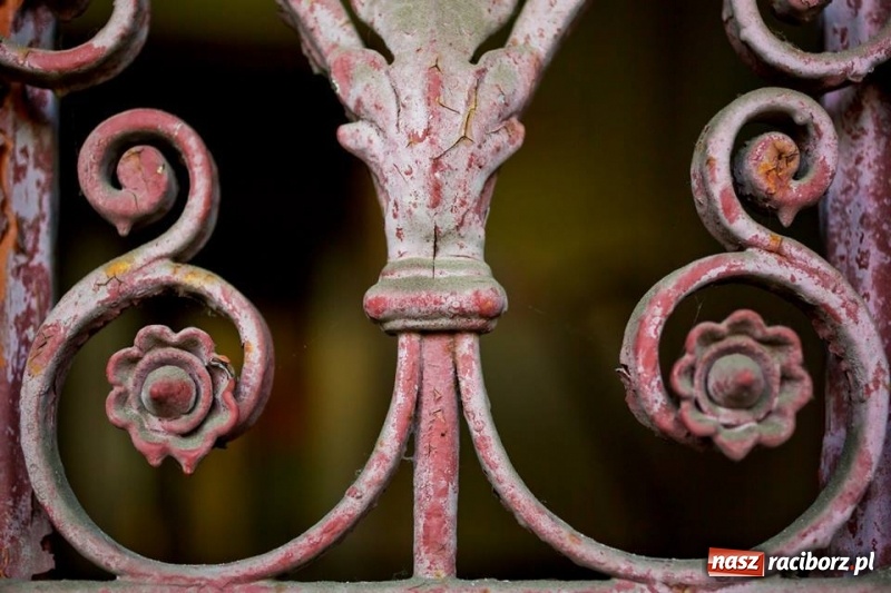 Zdjęcie w galerii na portalu naszraciborz.pl: Racibórz okiem przybysza FOTOGRAFIE  wiadomości z regionu