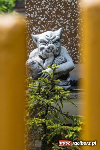 Zdjęcie w galerii na portalu naszraciborz.pl: Racibórz okiem przybysza FOTOGRAFIE  wiadomości z regionu