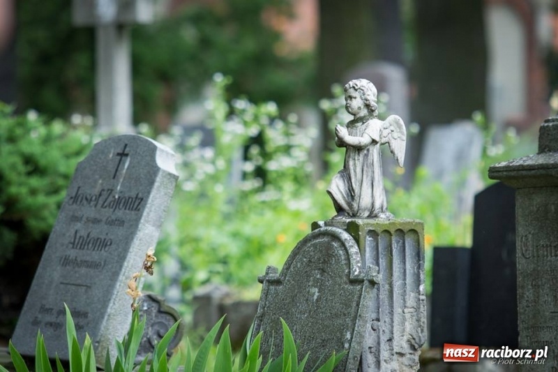 Zdjęcie w galerii na portalu naszraciborz.pl: Racibórz okiem przybysza FOTOGRAFIE  wiadomości z regionu