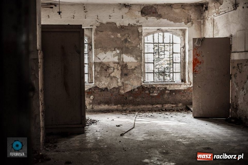 Zdjęcie w galerii na portalu naszraciborz.pl: Racibórz okiem przybysza FOTOGRAFIE  wiadomości z regionu