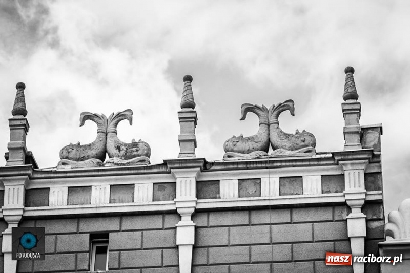 Zdjęcie w galerii na portalu naszraciborz.pl: Racibórz okiem przybysza FOTOGRAFIE  wiadomości z regionu