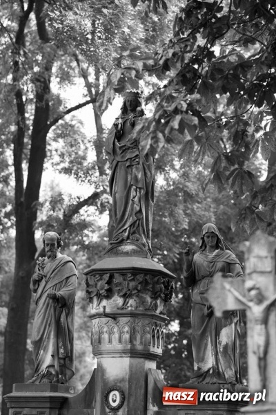 Zdjęcie w galerii na portalu naszraciborz.pl: Racibórz okiem przybysza FOTOGRAFIE  wiadomości z regionu