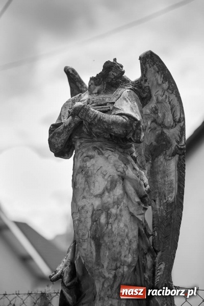 Zdjęcie w galerii na portalu naszraciborz.pl: Racibórz okiem przybysza FOTOGRAFIE  wiadomości z regionu