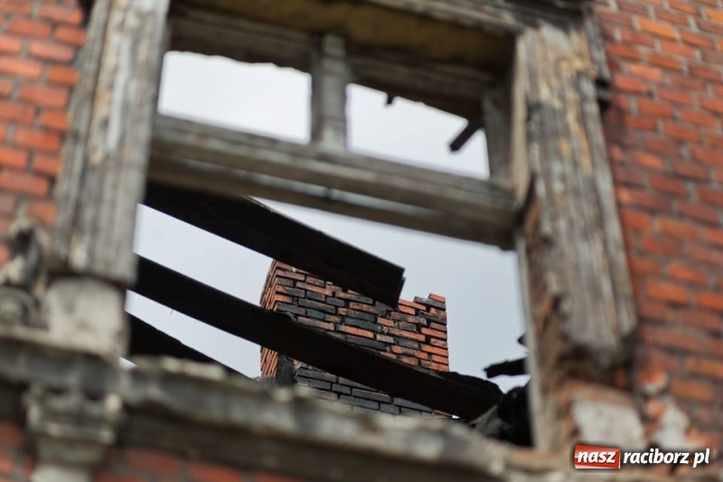 Zdjęcie w galerii na portalu naszraciborz.pl: Racibórz okiem przybysza FOTOGRAFIE  wiadomości z regionu