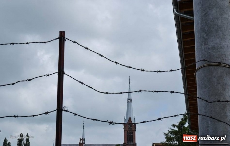 Zdjęcie w galerii na portalu naszraciborz.pl: Racibórz okiem przybysza FOTOGRAFIE  wiadomości z regionu