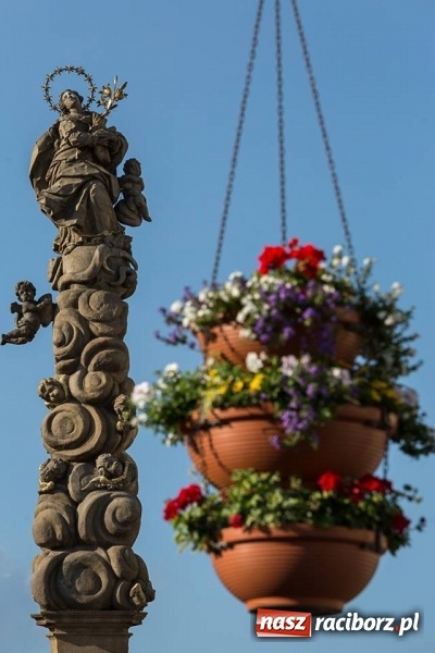 Zdjęcie w galerii na portalu naszraciborz.pl: Racibórz okiem przybysza FOTOGRAFIE  wiadomości z regionu