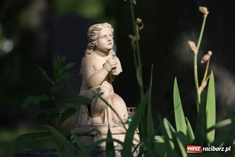 Zdjęcie w galerii na portalu naszraciborz.pl: Racibórz okiem przybysza FOTOGRAFIE  wiadomości z regionu