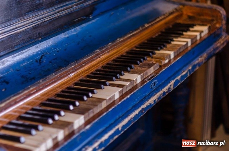 Zdjęcie w galerii na portalu naszraciborz.pl: Racibórz okiem przybysza FOTOGRAFIE  wiadomości z regionu