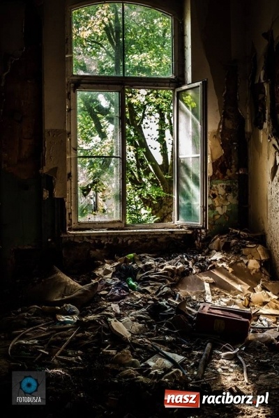 Zdjęcie w galerii na portalu naszraciborz.pl: Racibórz okiem przybysza FOTOGRAFIE  wiadomości z regionu