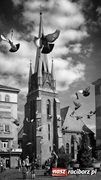 Zdjęcie w galerii na portalu naszraciborz.pl: Racibórz okiem przybysza FOTOGRAFIE  wiadomości z regionu