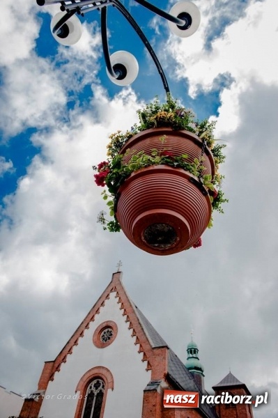 Zdjęcie w galerii na portalu naszraciborz.pl: Racibórz okiem przybysza FOTOGRAFIE  wiadomości z regionu