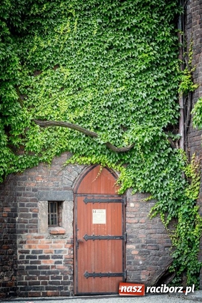 Zdjęcie w galerii na portalu naszraciborz.pl: Racibórz okiem przybysza FOTOGRAFIE  wiadomości z regionu