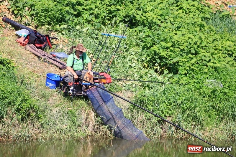 Zdjęcie w galerii na portalu naszraciborz.pl: Tomasz Lepiorz z Pucharem Starosty w wędkarstwie spławikowym wiadomości z regionu