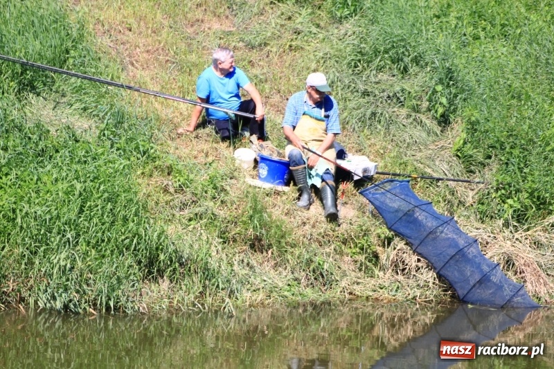 Zdjęcie w galerii na portalu naszraciborz.pl: Tomasz Lepiorz z Pucharem Starosty w wędkarstwie spławikowym wiadomości z regionu