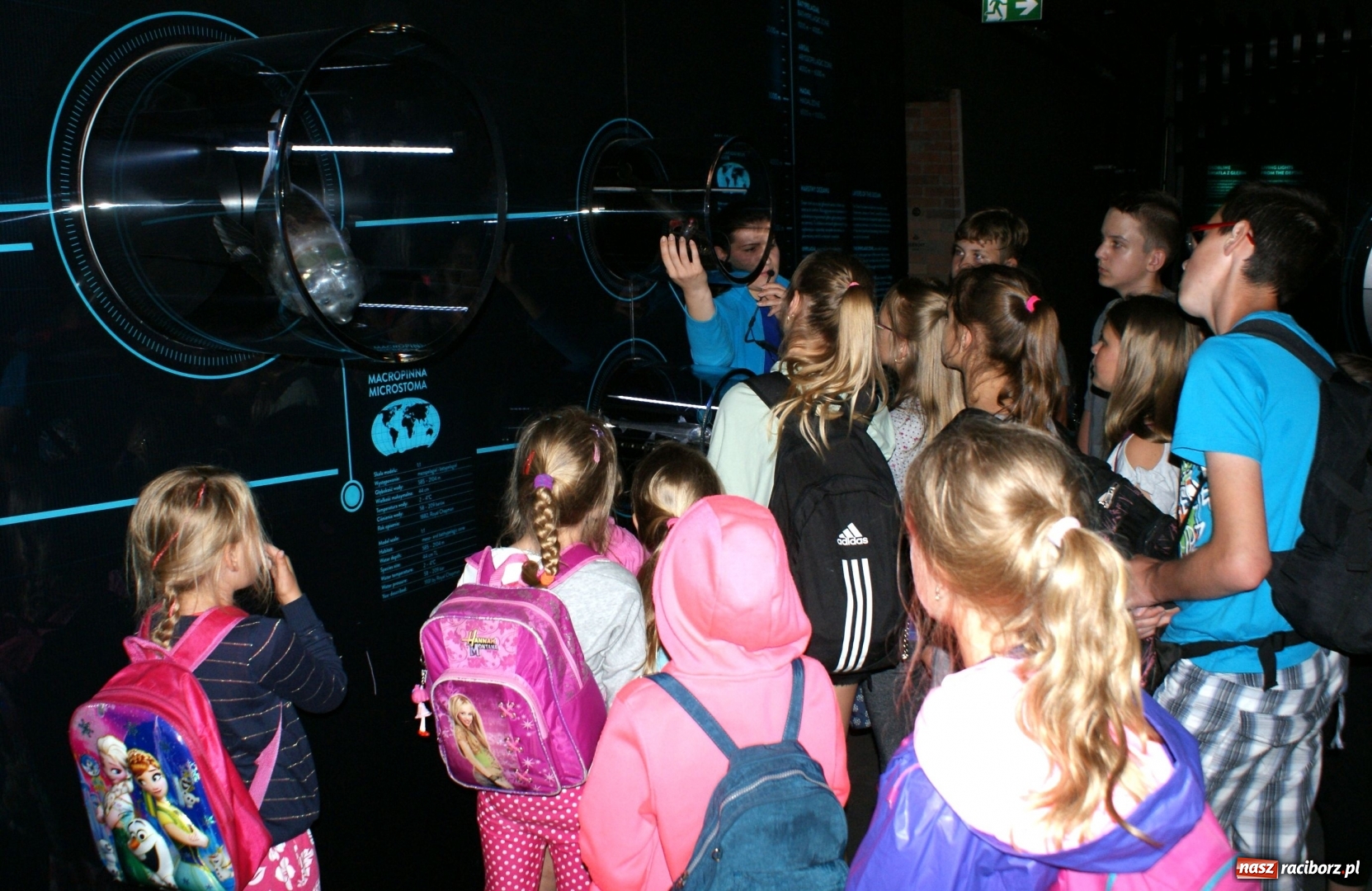 Zdjęcie w galerii na portalu naszraciborz.pl: Mnóstwo atrakcji podczas trzeciego tygodnia wakacji z klubem SM Nowoczesna wiadomości z regionu