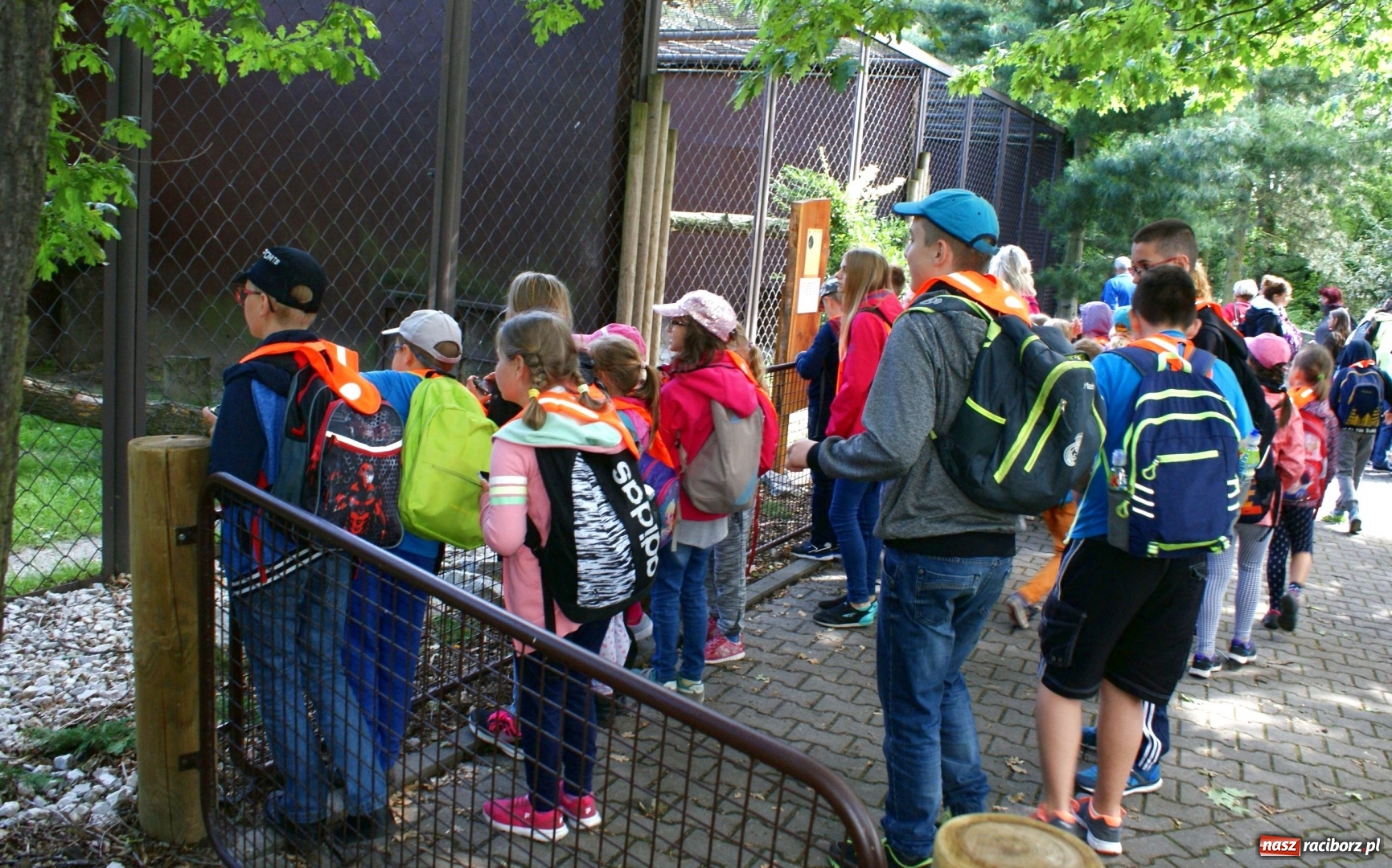 Zdjęcie w galerii na portalu naszraciborz.pl: Mnóstwo atrakcji podczas trzeciego tygodnia wakacji z klubem SM Nowoczesna wiadomości z regionu