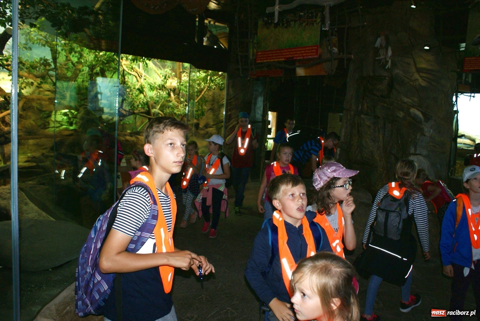 Zdjęcie w galerii na portalu naszraciborz.pl: Mnóstwo atrakcji podczas trzeciego tygodnia wakacji z klubem SM Nowoczesna wiadomości z regionu