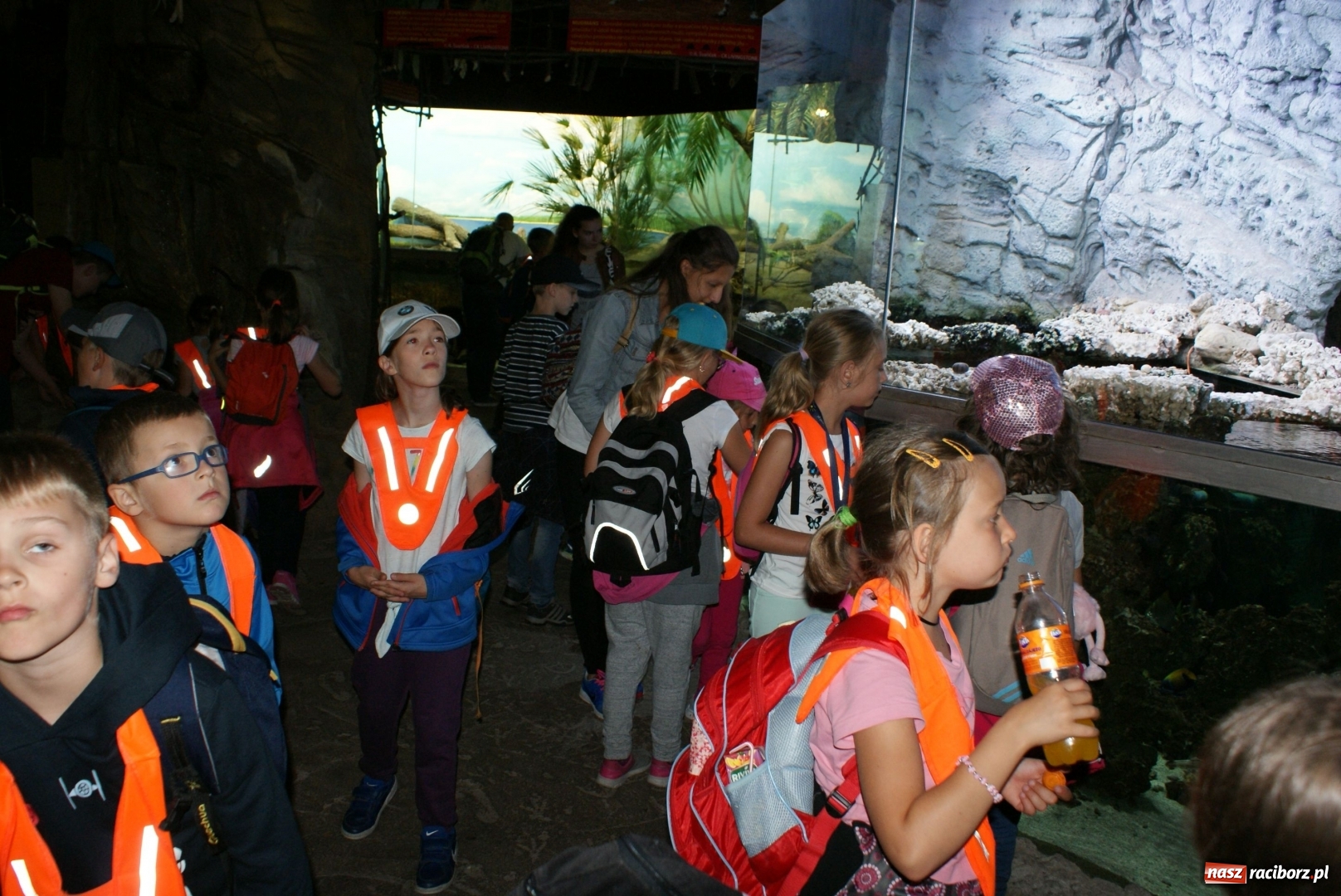 Zdjęcie w galerii na portalu naszraciborz.pl: Mnóstwo atrakcji podczas trzeciego tygodnia wakacji z klubem SM Nowoczesna wiadomości z regionu
