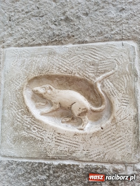 Zdjęcie w galerii na portalu naszraciborz.pl: Nauczycielka ze szkoły w Kobyli na szkoleniu w Ratyzbonie  wiadomości z regionu