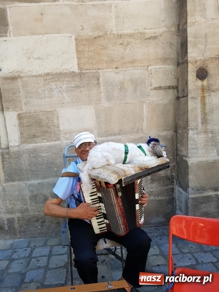 Zdjęcie w galerii na portalu naszraciborz.pl: Nauczycielka ze szkoły w Kobyli na szkoleniu w Ratyzbonie  wiadomości z regionu