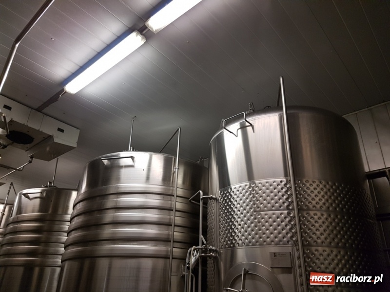 Zdjęcie w galerii na portalu naszraciborz.pl: Nauczycielka ze szkoły w Kobyli na szkoleniu w Ratyzbonie  wiadomości z regionu