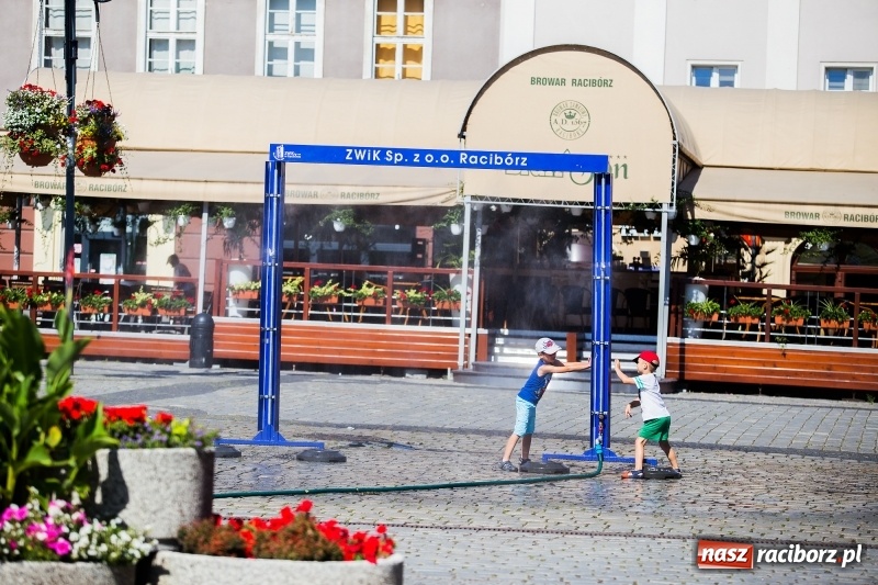 Zdjęcie w galerii na portalu naszraciborz.pl: Upał doskwiera. ZWiK uruchomił zraszacze wiadomości z regionu