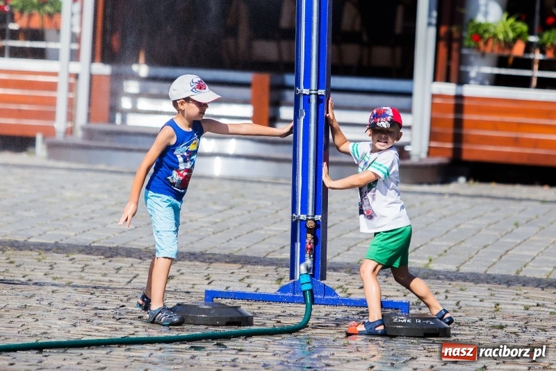 Zdjęcie w galerii na portalu naszraciborz.pl: Upał doskwiera. ZWiK uruchomił zraszacze wiadomości z regionu