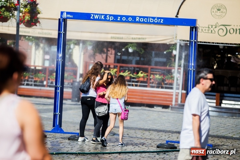 Zdjęcie w galerii na portalu naszraciborz.pl: Upał doskwiera. ZWiK uruchomił zraszacze wiadomości z regionu