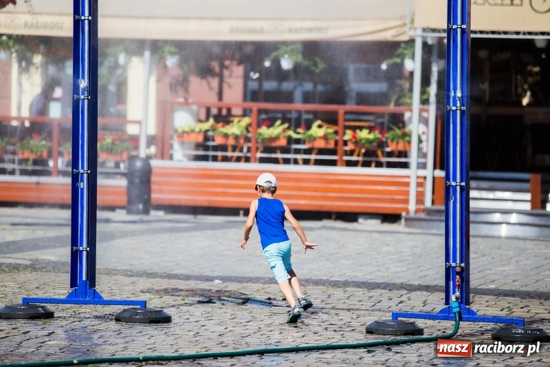 Zdjęcie w galerii na portalu naszraciborz.pl: Upał doskwiera. ZWiK uruchomił zraszacze wiadomości z regionu