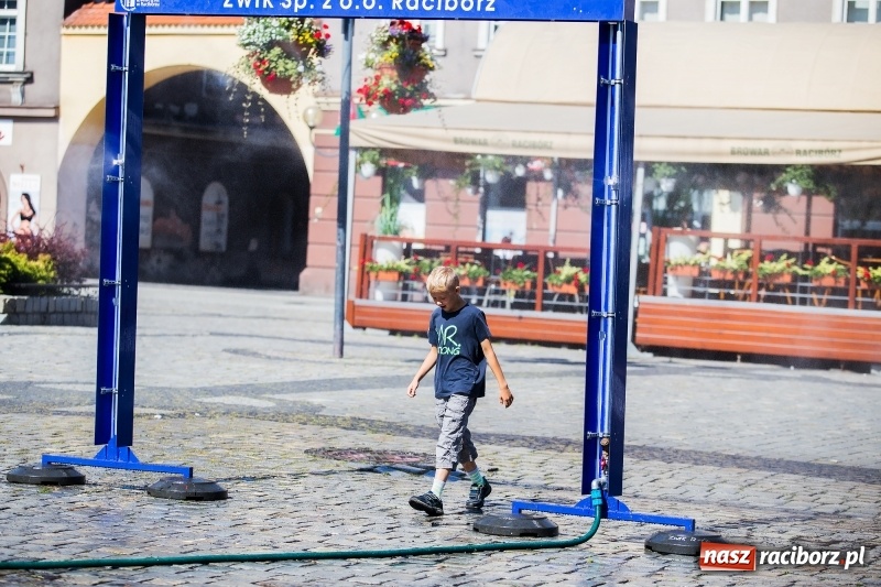 Zdjęcie w galerii na portalu naszraciborz.pl: Upał doskwiera. ZWiK uruchomił zraszacze wiadomości z regionu