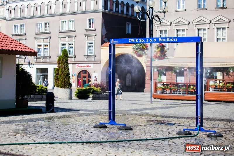 Zdjęcie w galerii na portalu naszraciborz.pl: Upał doskwiera. ZWiK uruchomił zraszacze wiadomości z regionu