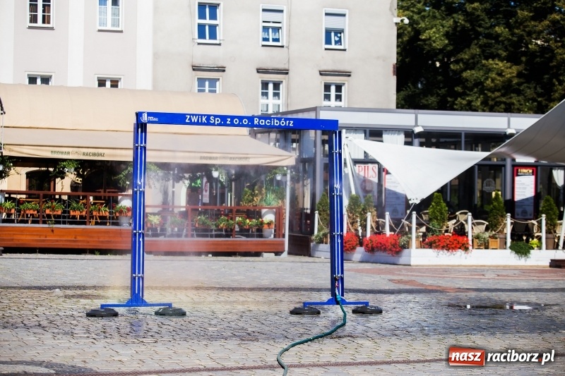 Zdjęcie w galerii na portalu naszraciborz.pl: Upał doskwiera. ZWiK uruchomił zraszacze wiadomości z regionu